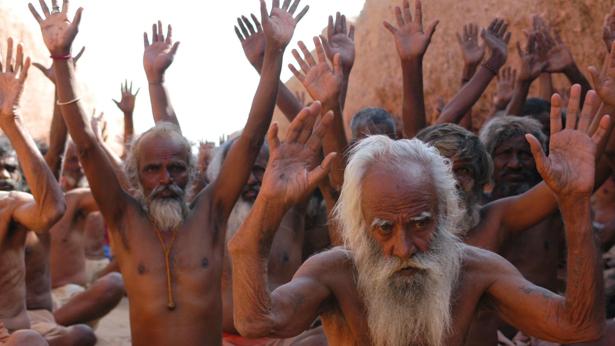 Poster backdrop for Scream of the Ants