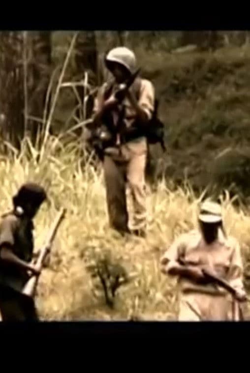 Poster backdrop for Bedjo van Derlaak