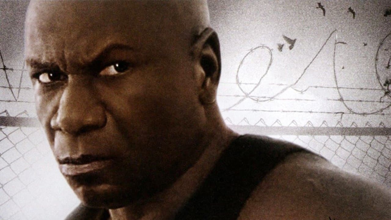 Poster backdrop for Animal