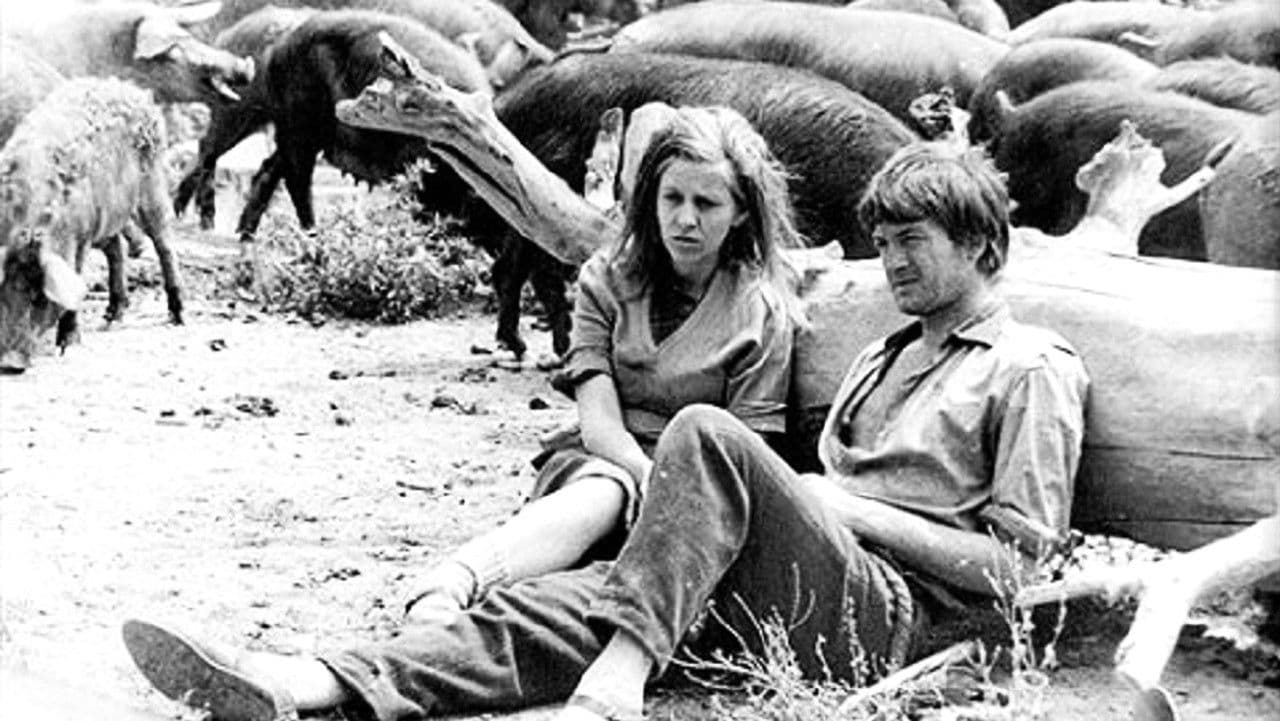 Poster backdrop for It Rains in My Village