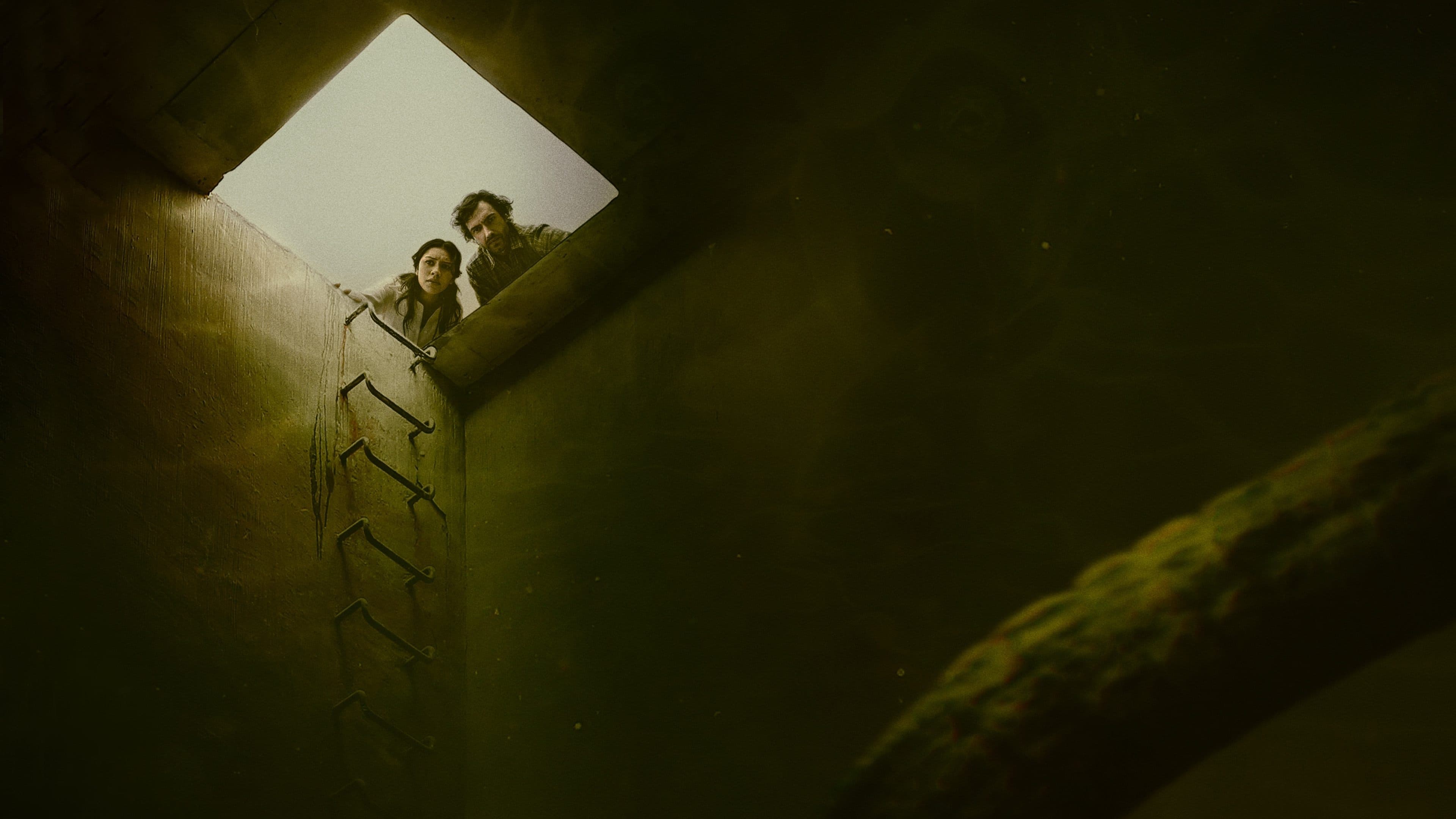 Poster backdrop for The Tank