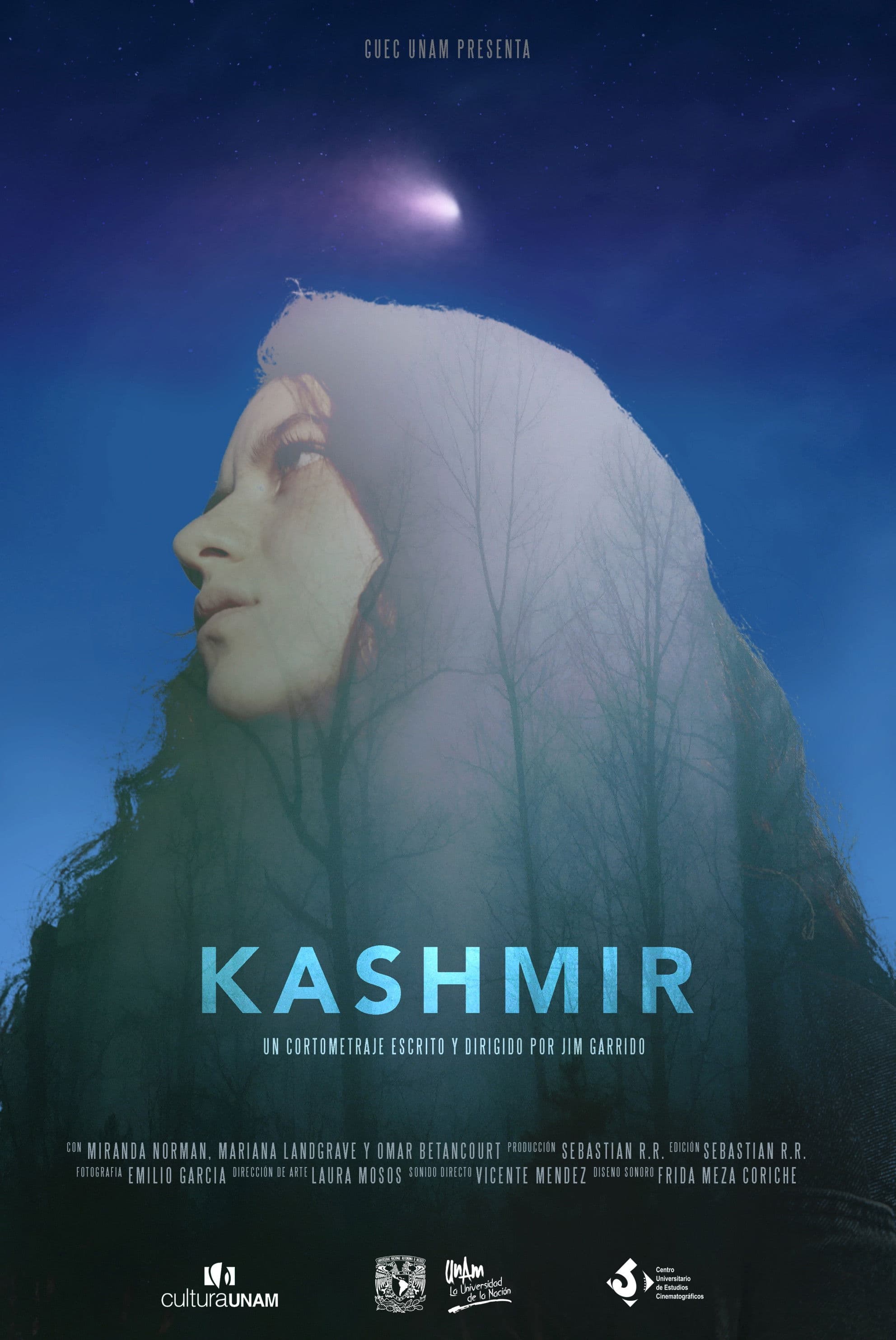 Poster backdrop for Kashmir