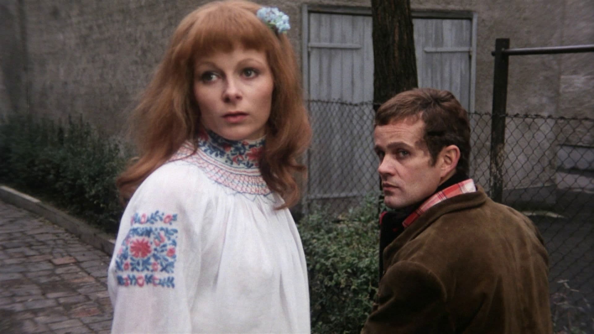 Poster backdrop for Mosquito the Rapist