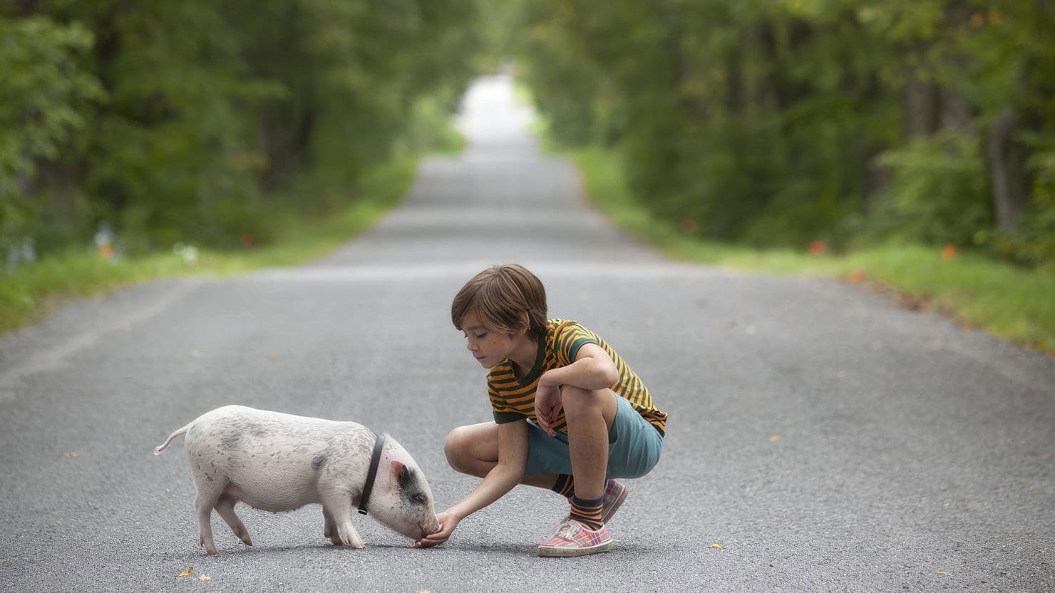 Poster backdrop for Hotell Gyllene Knorren - filmen