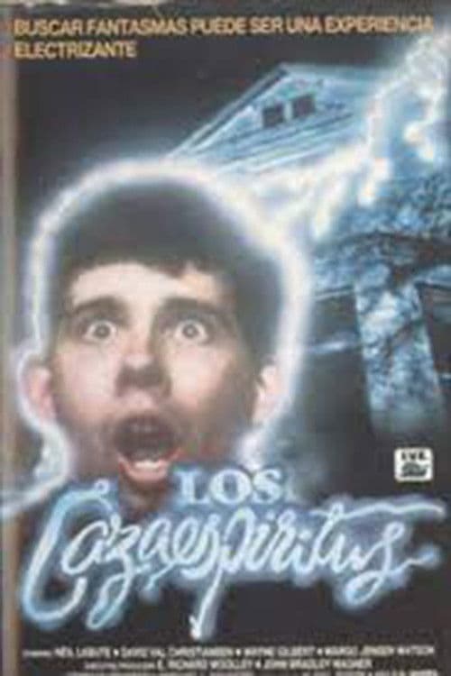 Poster backdrop for High School Spirits