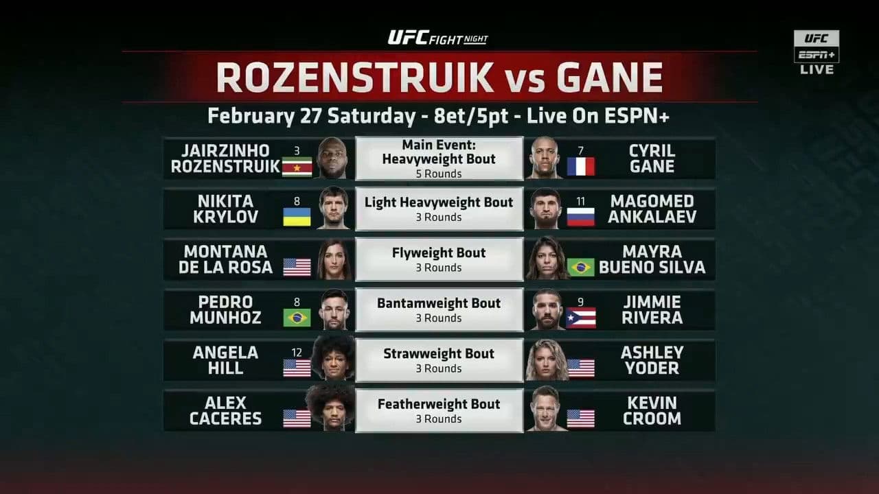 Poster backdrop for UFC Fight Night 186: Rozenstruik vs. Gane