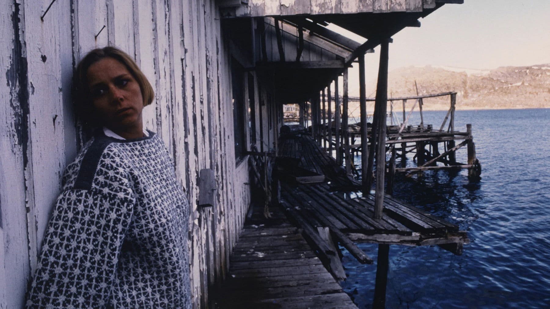 Poster backdrop for Stella Polaris