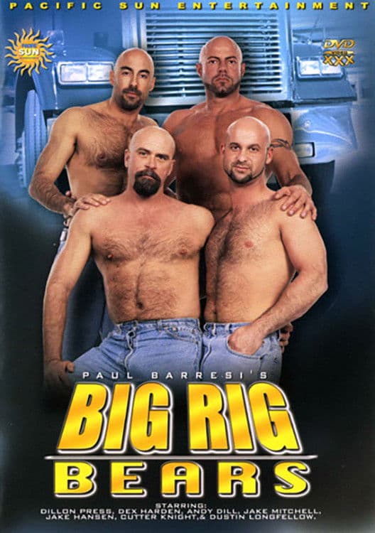 Poster backdrop for Big Rig Bears