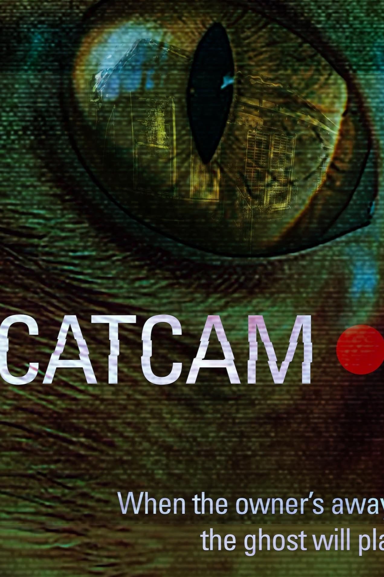 Poster backdrop for Cat Cam