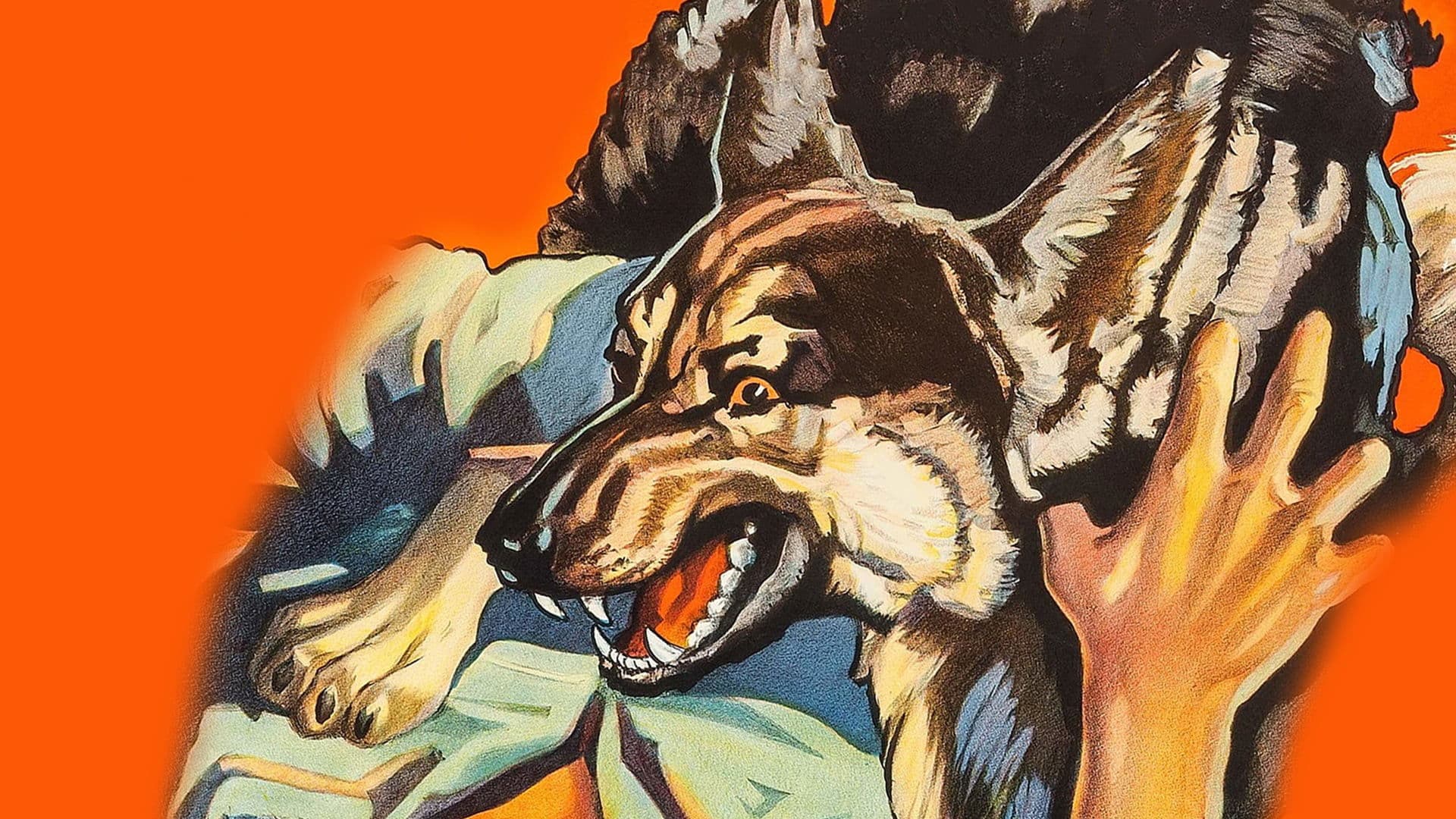 Poster backdrop for Ferocious Pal