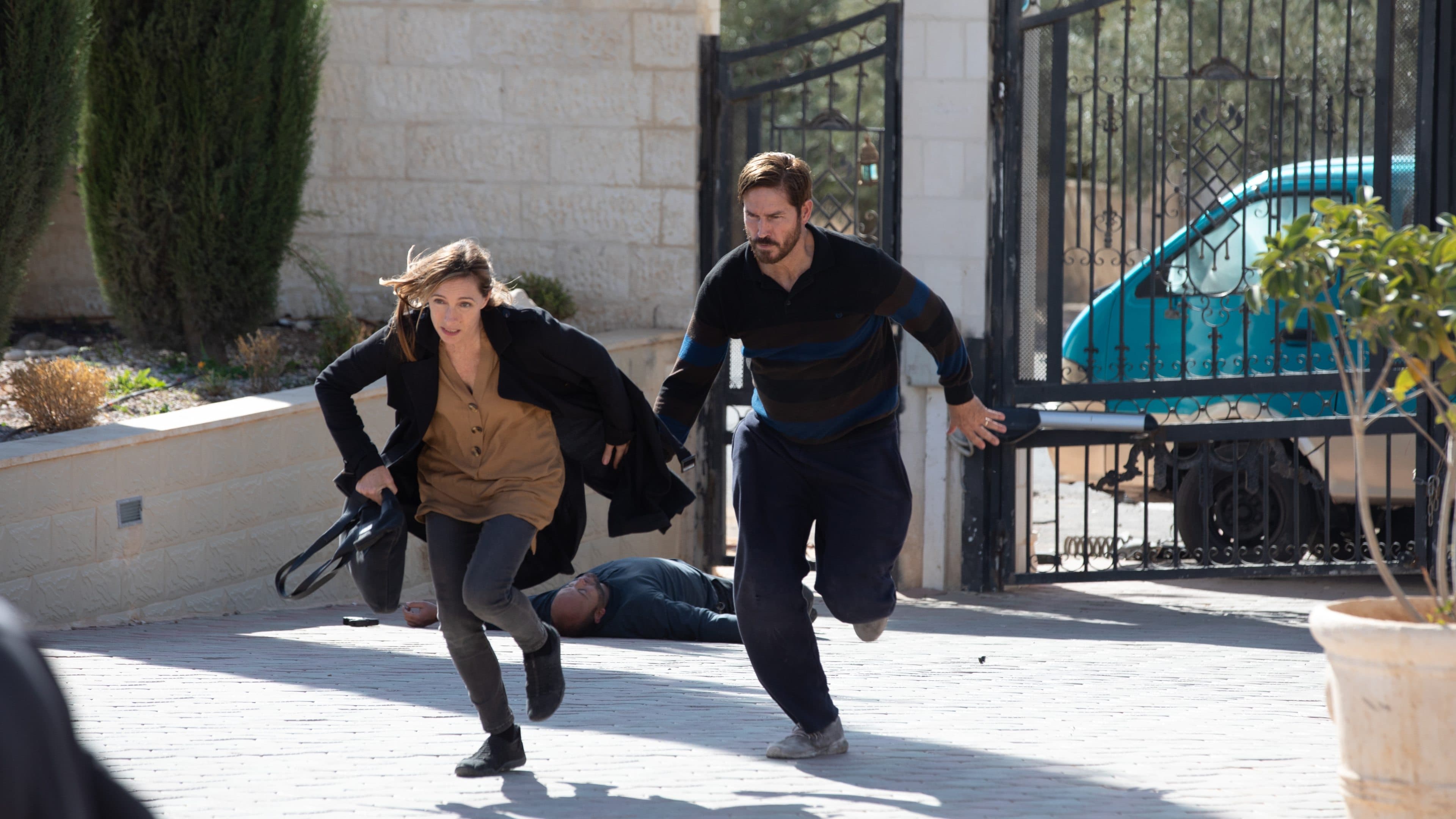 Poster backdrop for Infidel