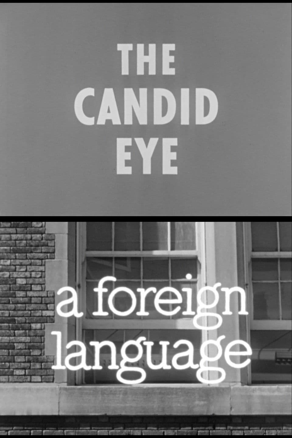 Poster backdrop for A Foreign Language