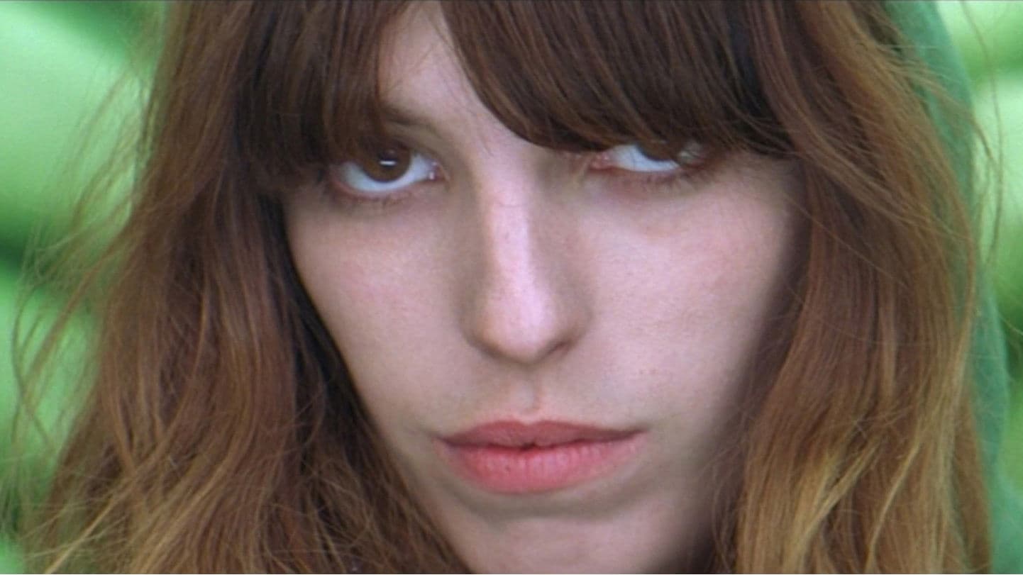 Poster backdrop for Dnipro Crocodile