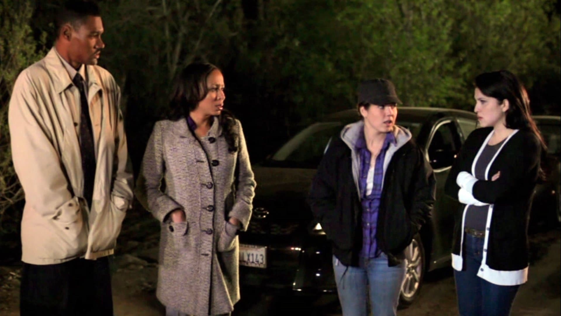 Poster backdrop for The Encounter