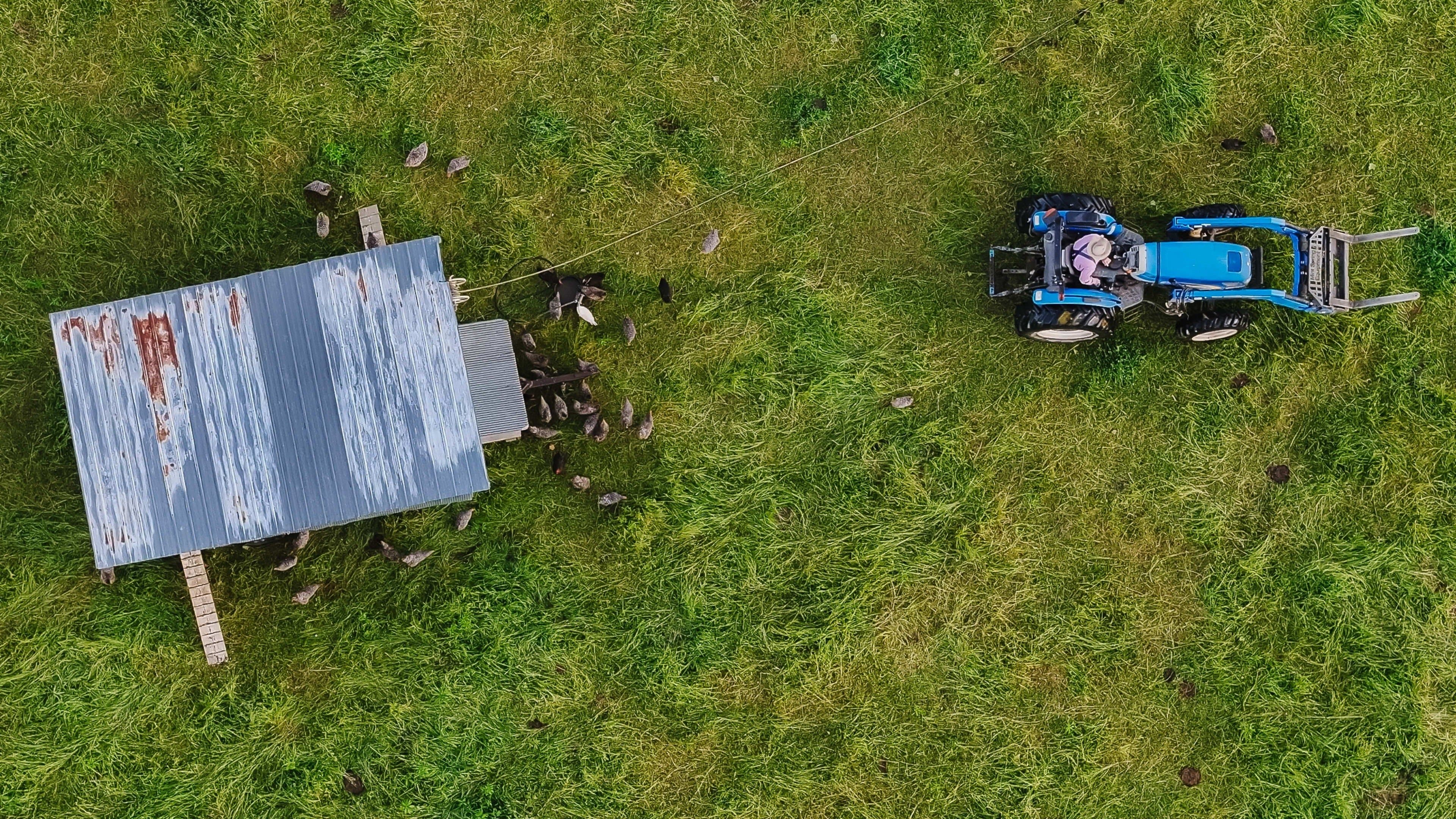 Poster backdrop for The Lunatic Farmer