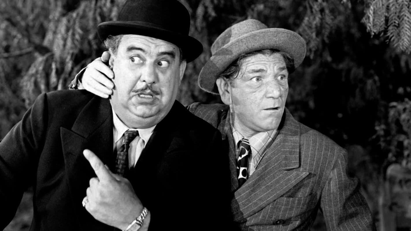 Poster backdrop for Crazy Knights