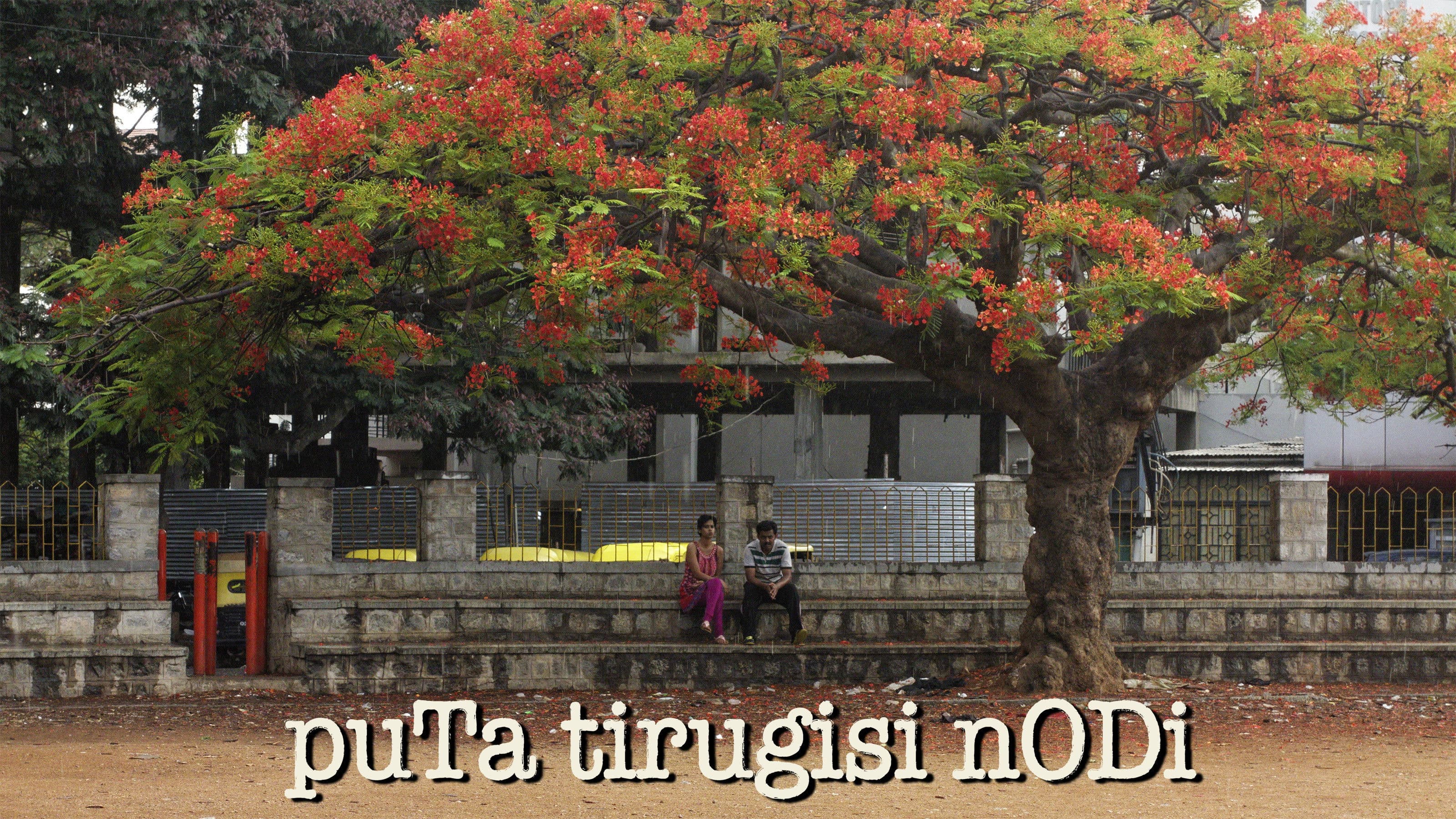 Poster backdrop for Please Turn Over