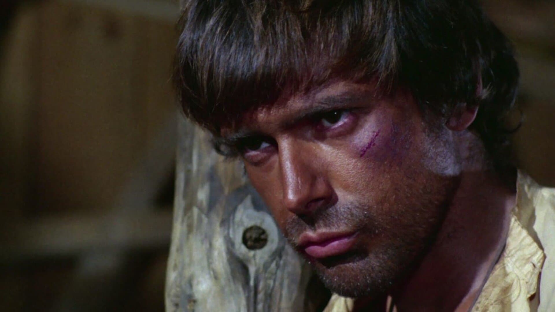 Poster backdrop for The Ugly Ones