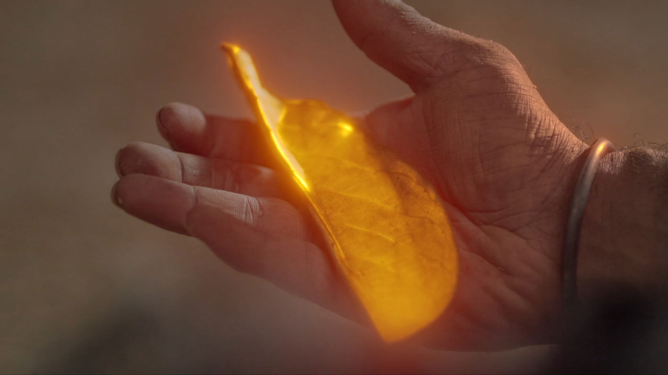 Poster backdrop for Kattemar