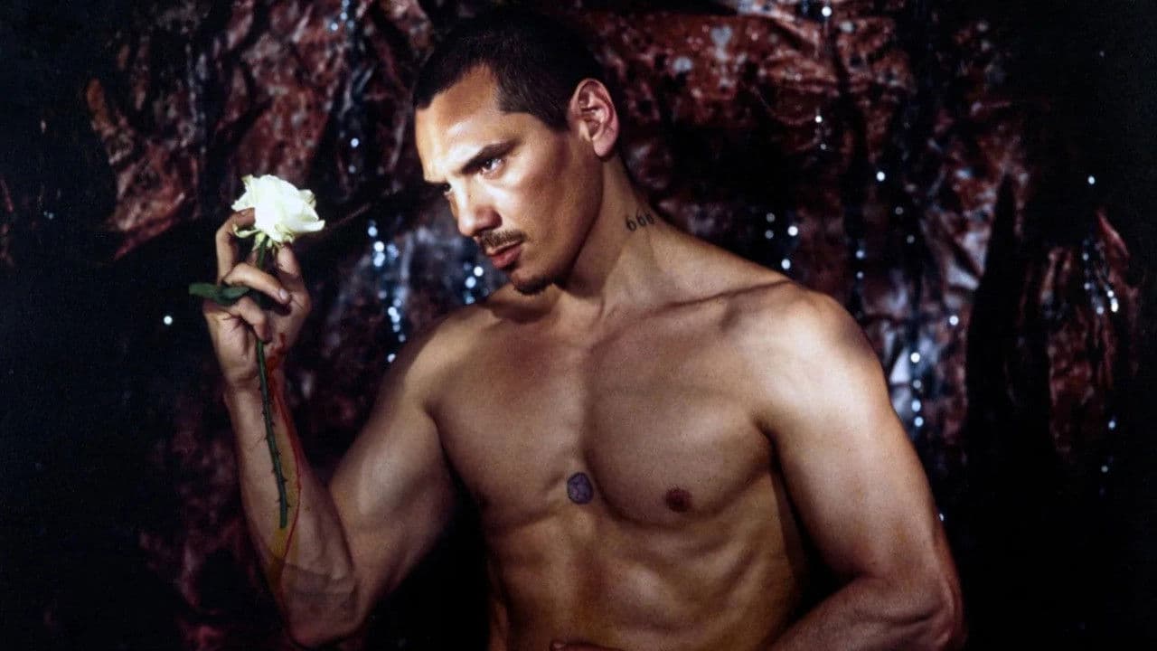 Poster backdrop for The Material Boy