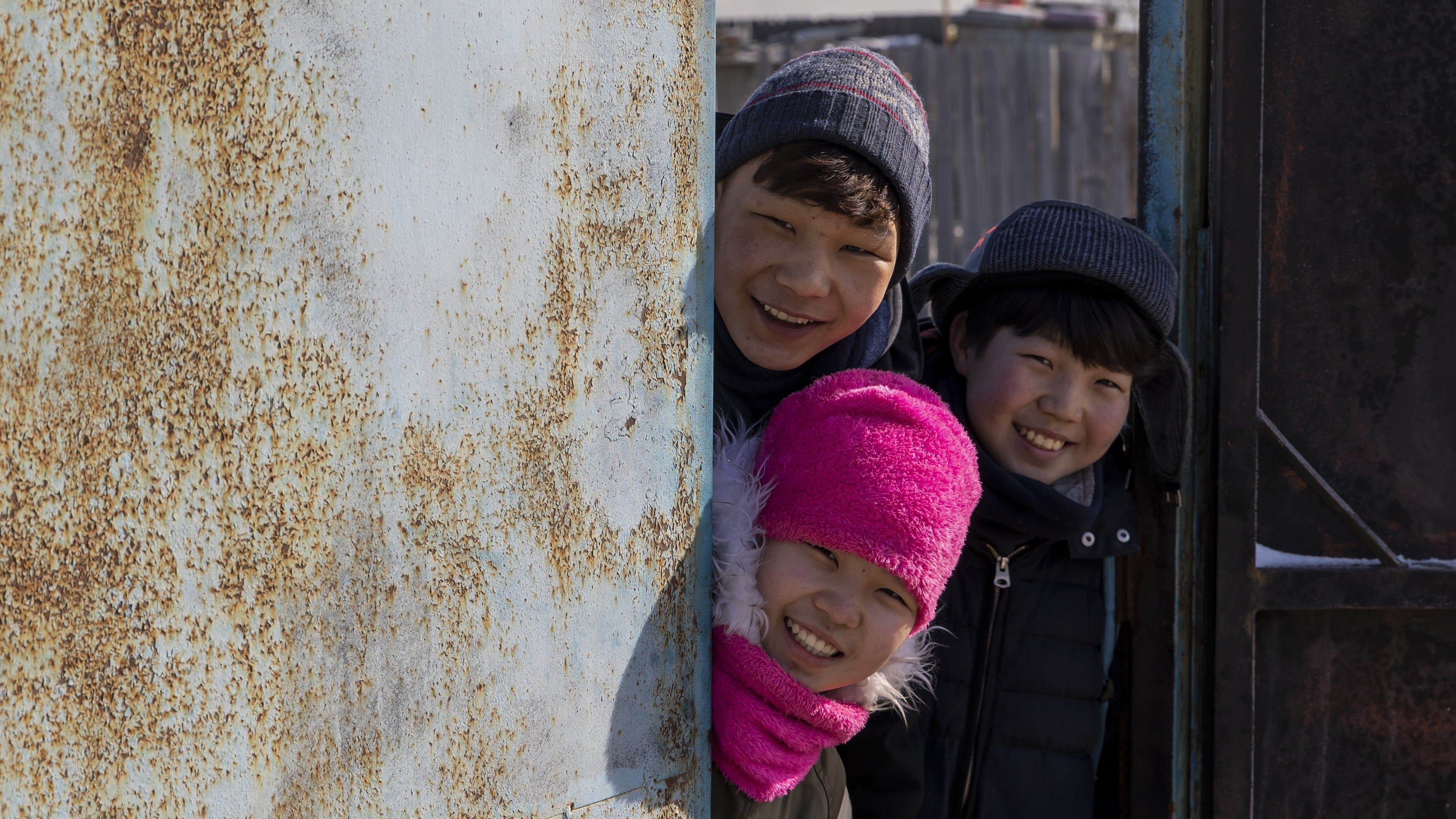 Poster backdrop for If Only I Could Hibernate