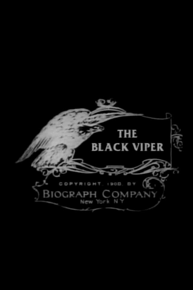 Poster backdrop for The Black Viper