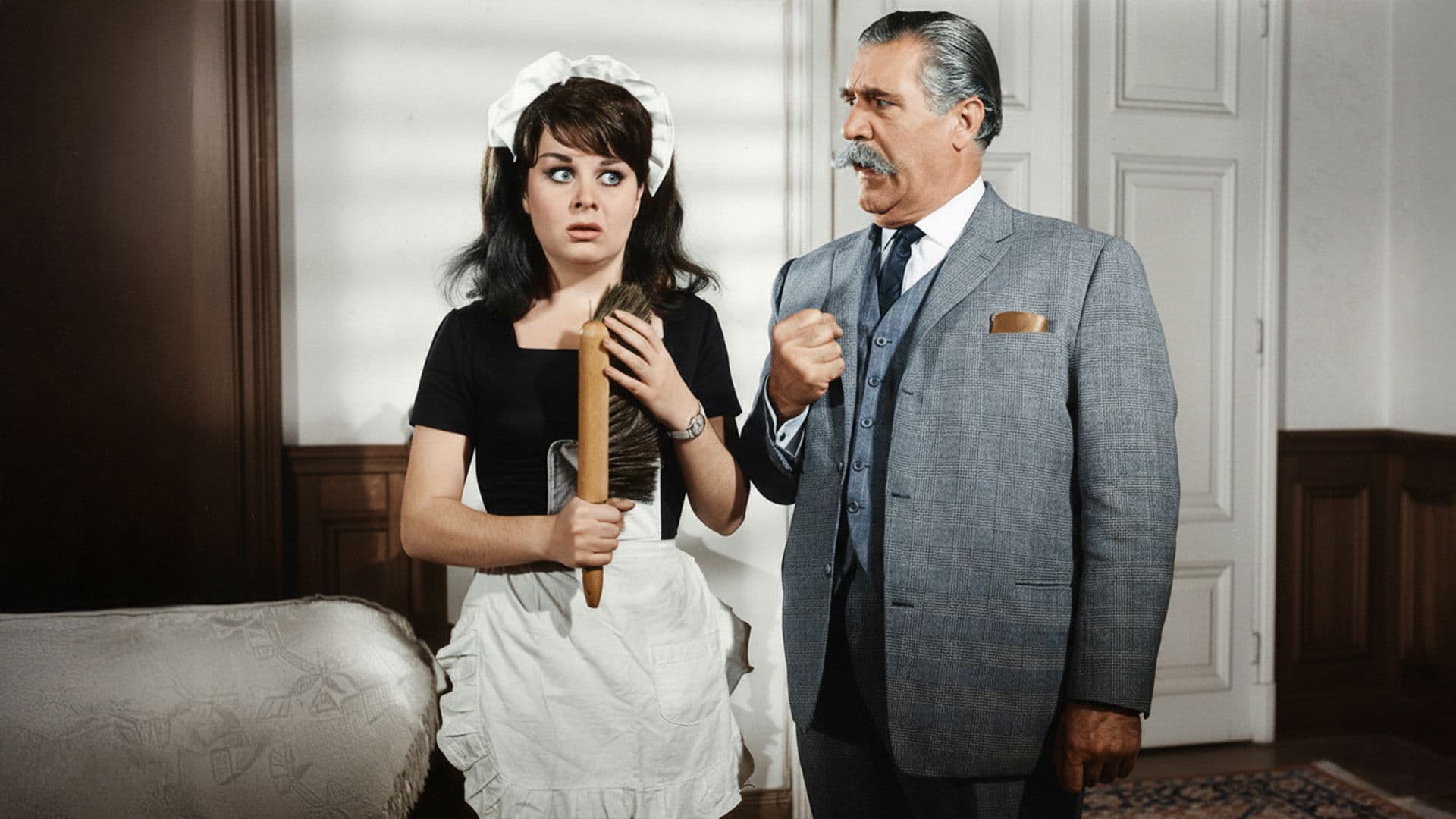 Poster backdrop for Hizmetçi Dediğin Böyle Olur