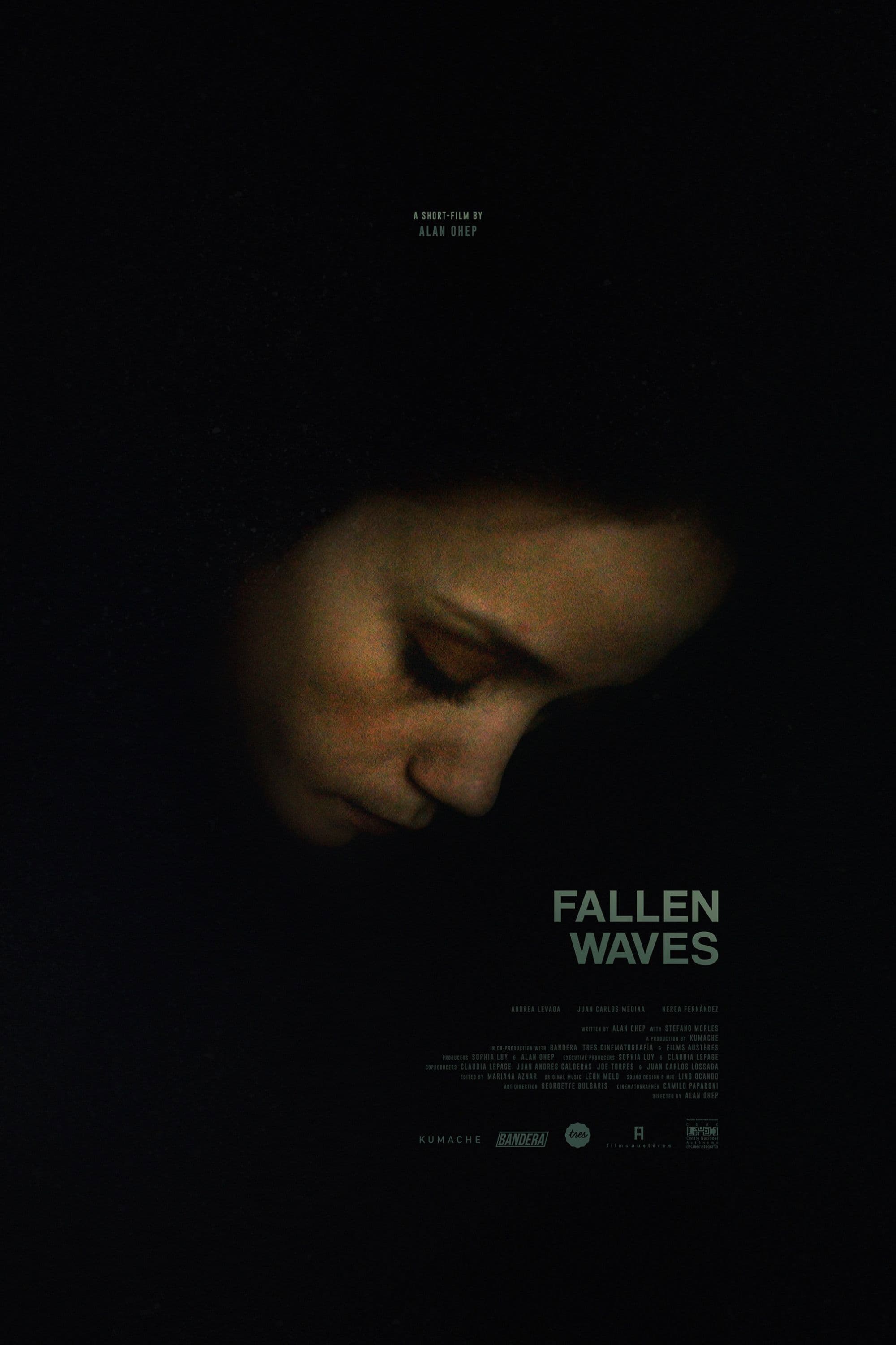 Poster backdrop for Fallen Waves