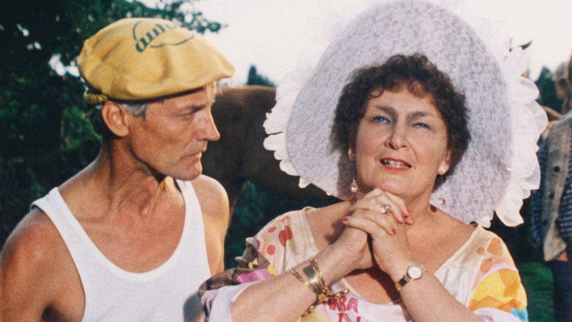 Poster backdrop for Here We Are