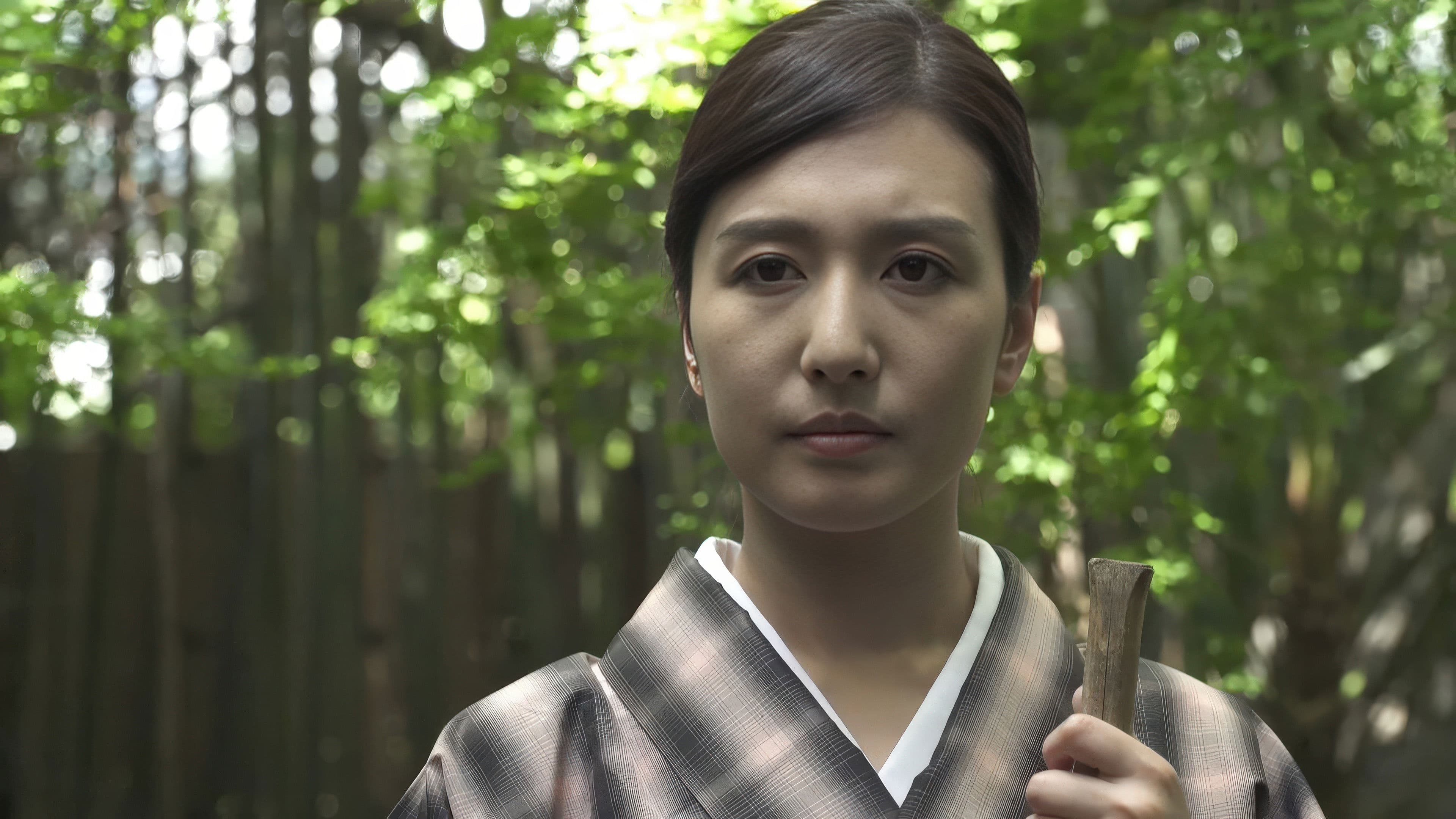 Poster backdrop for Geisha 2