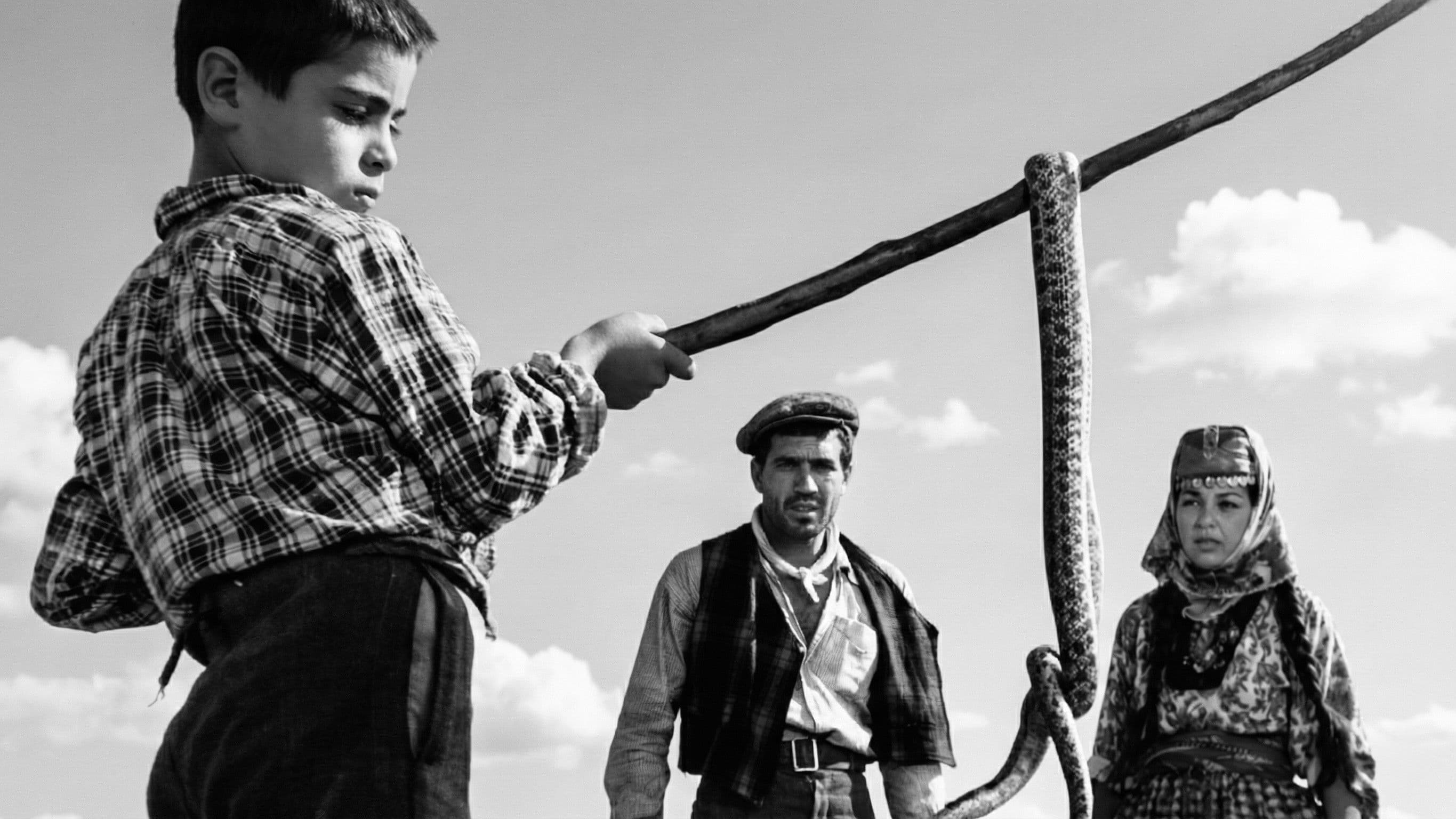 Poster backdrop for Revenge of the Snakes