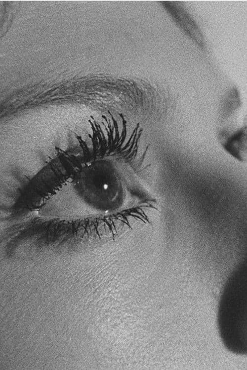 Poster backdrop for The Soft Space