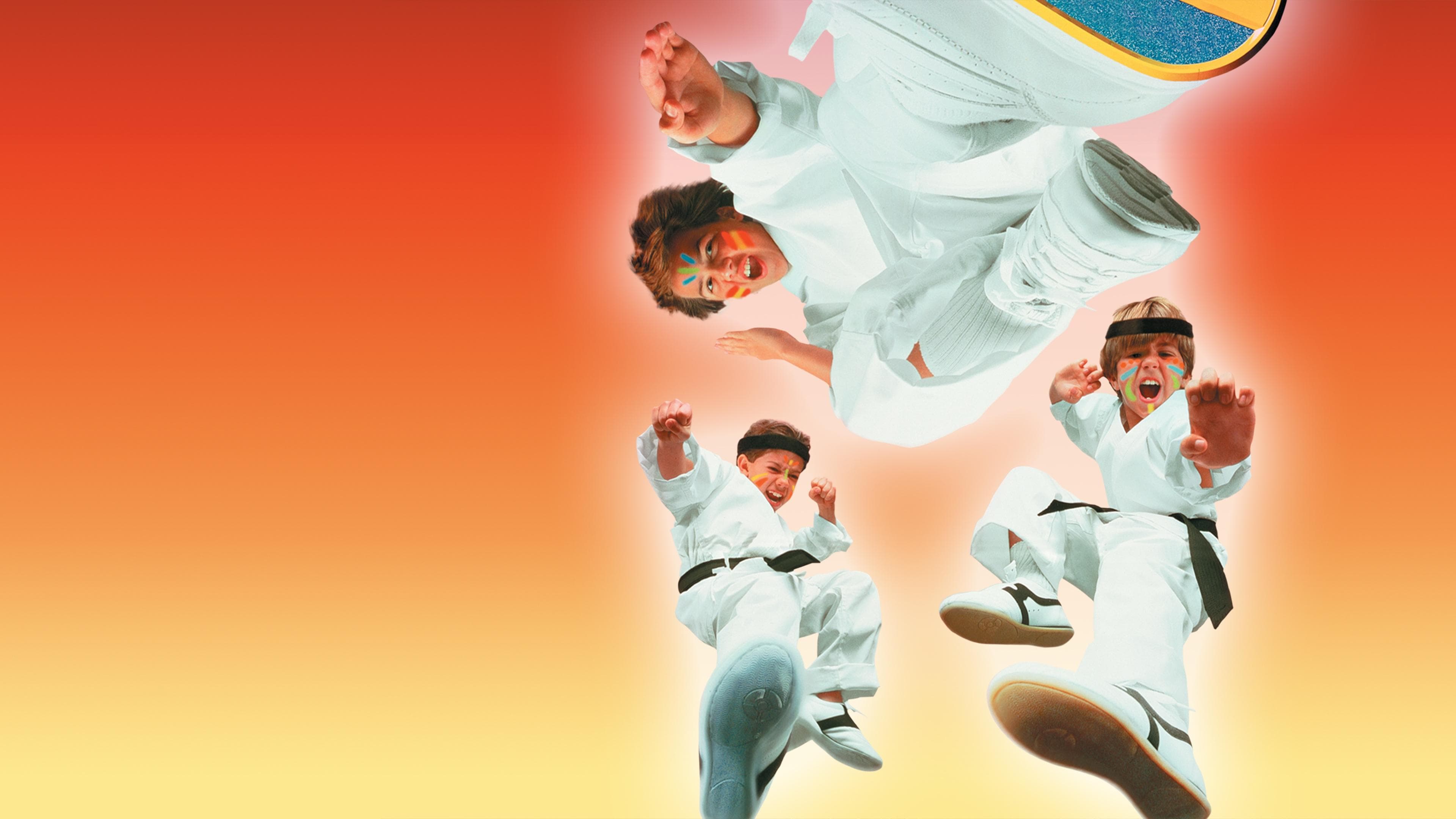 Poster backdrop for 3 Ninjas Knuckle Up
