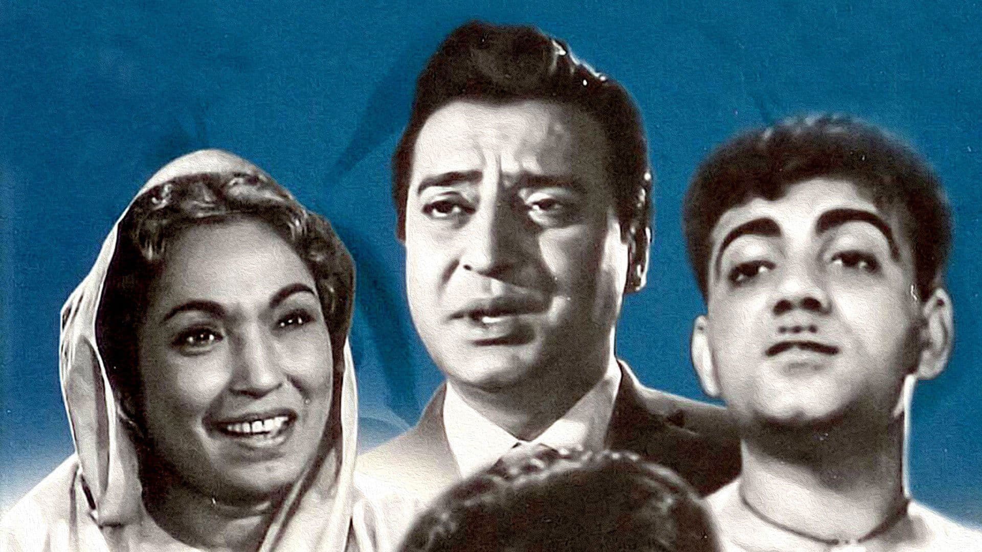 Poster backdrop for Biradari