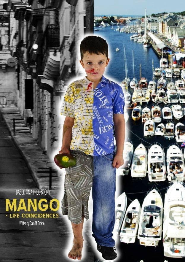 Poster backdrop for Mango: Lifes Coincidences