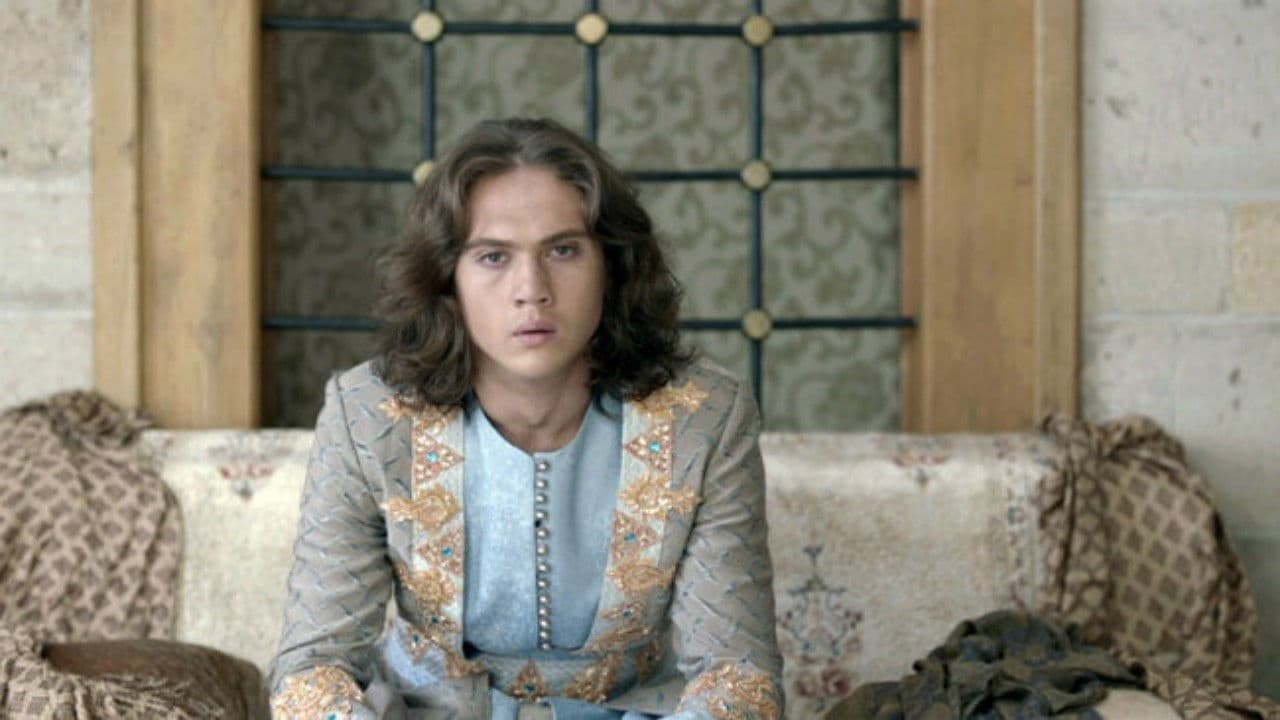 Poster backdrop for Mahmut & Meryem