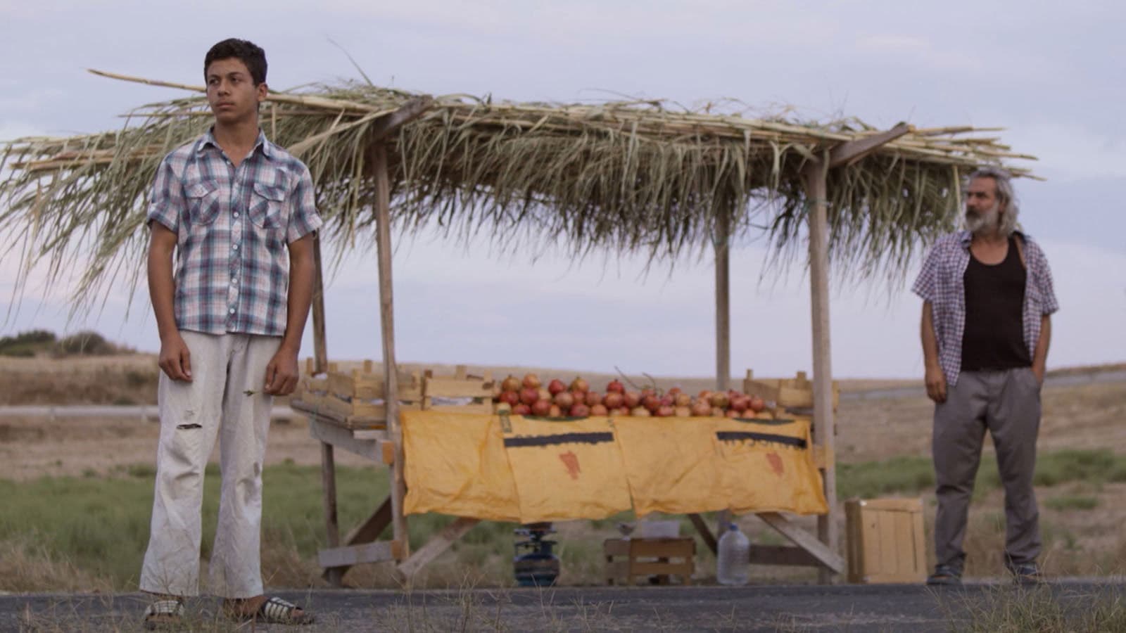 Poster backdrop for Soil