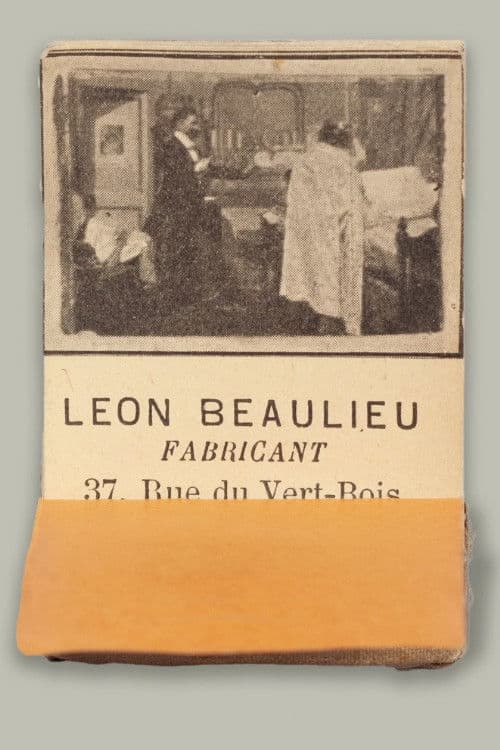 Poster backdrop for The Bridegroom's Dilemma