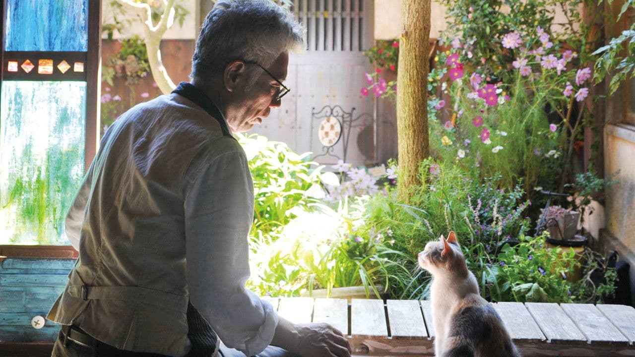Poster backdrop for Teacher and Stray Cat