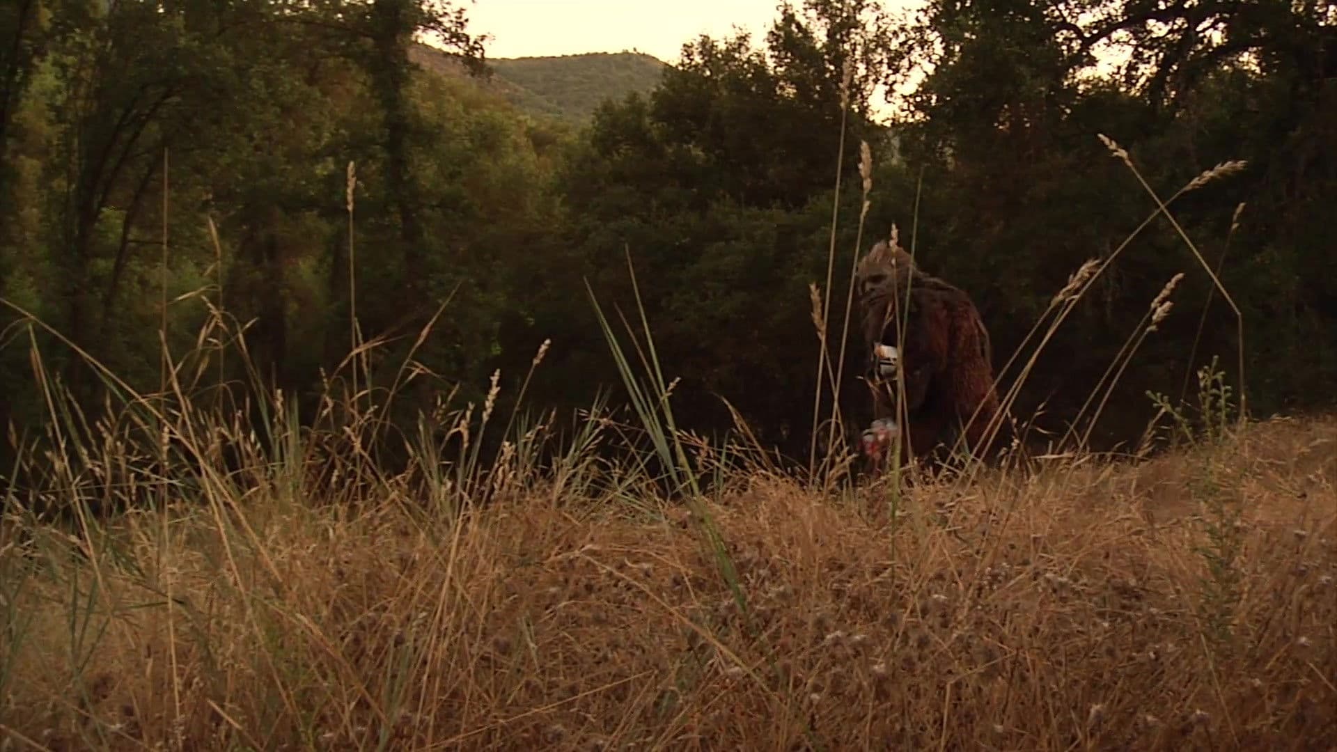 Poster backdrop for Bigfoot's Wild Weekend