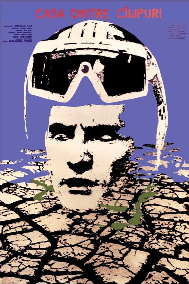 Poster backdrop for The House Between the Fields