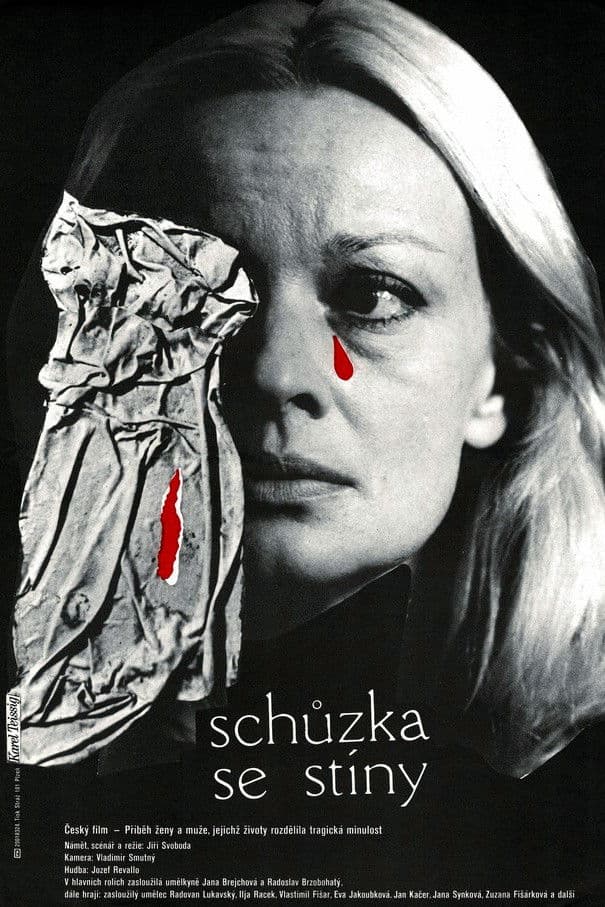 Poster backdrop for Schůzka se stíny