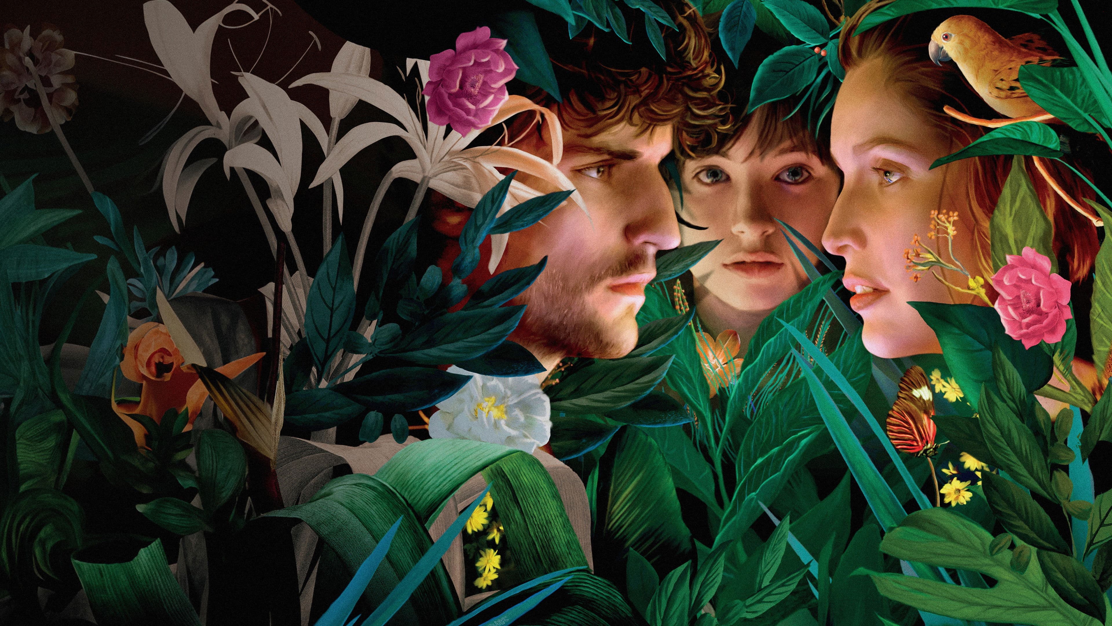 Poster backdrop for The Crusade