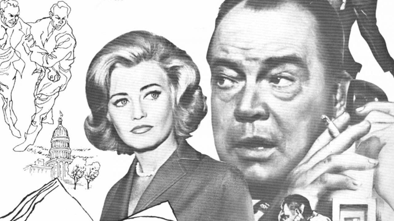 Poster backdrop for A Public Affair