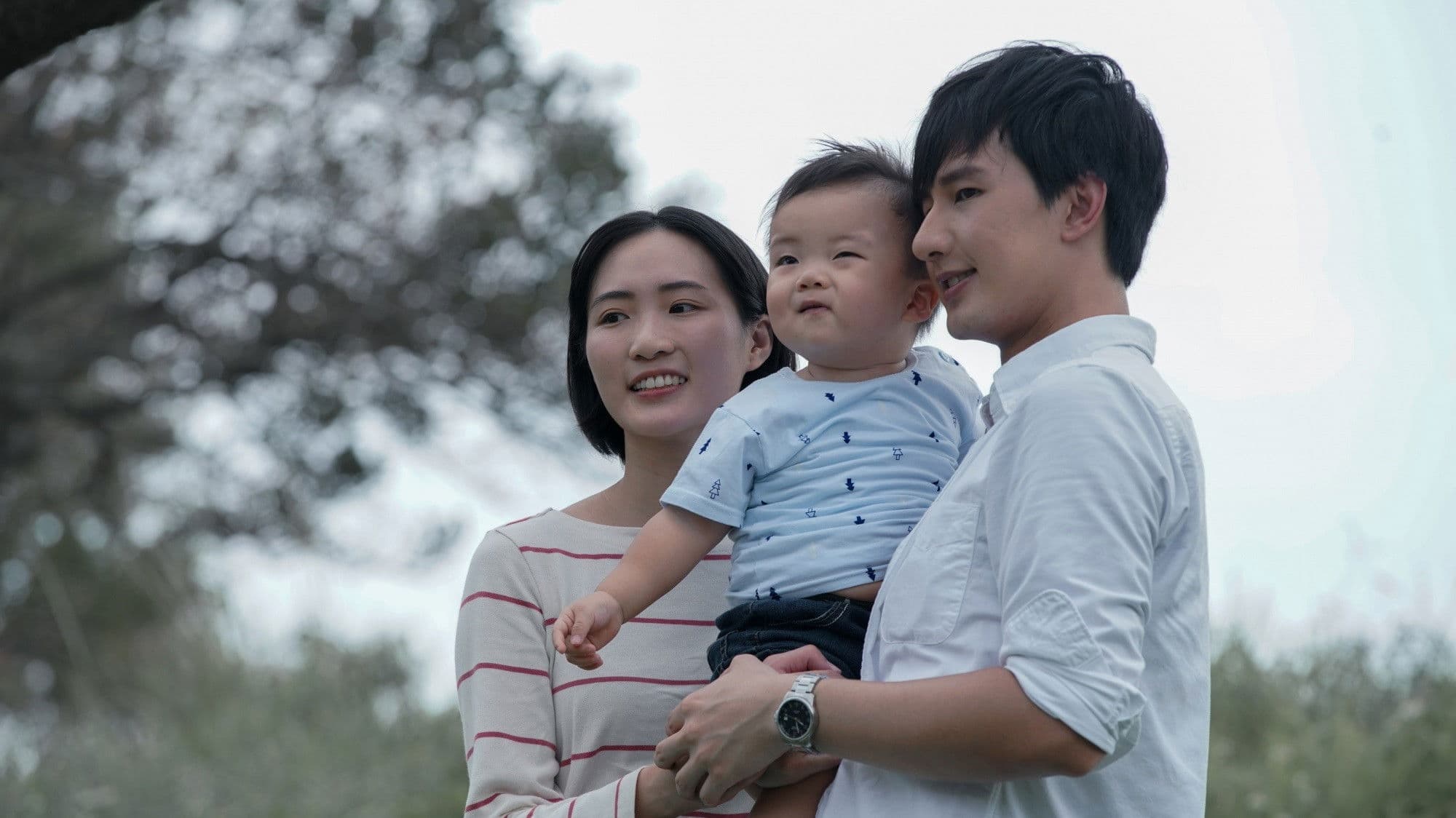 Poster backdrop for A Bird Goes By