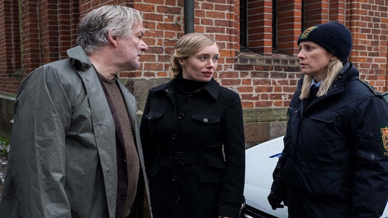 Poster backdrop for Der Dänemark-Krimi - Blutlinie