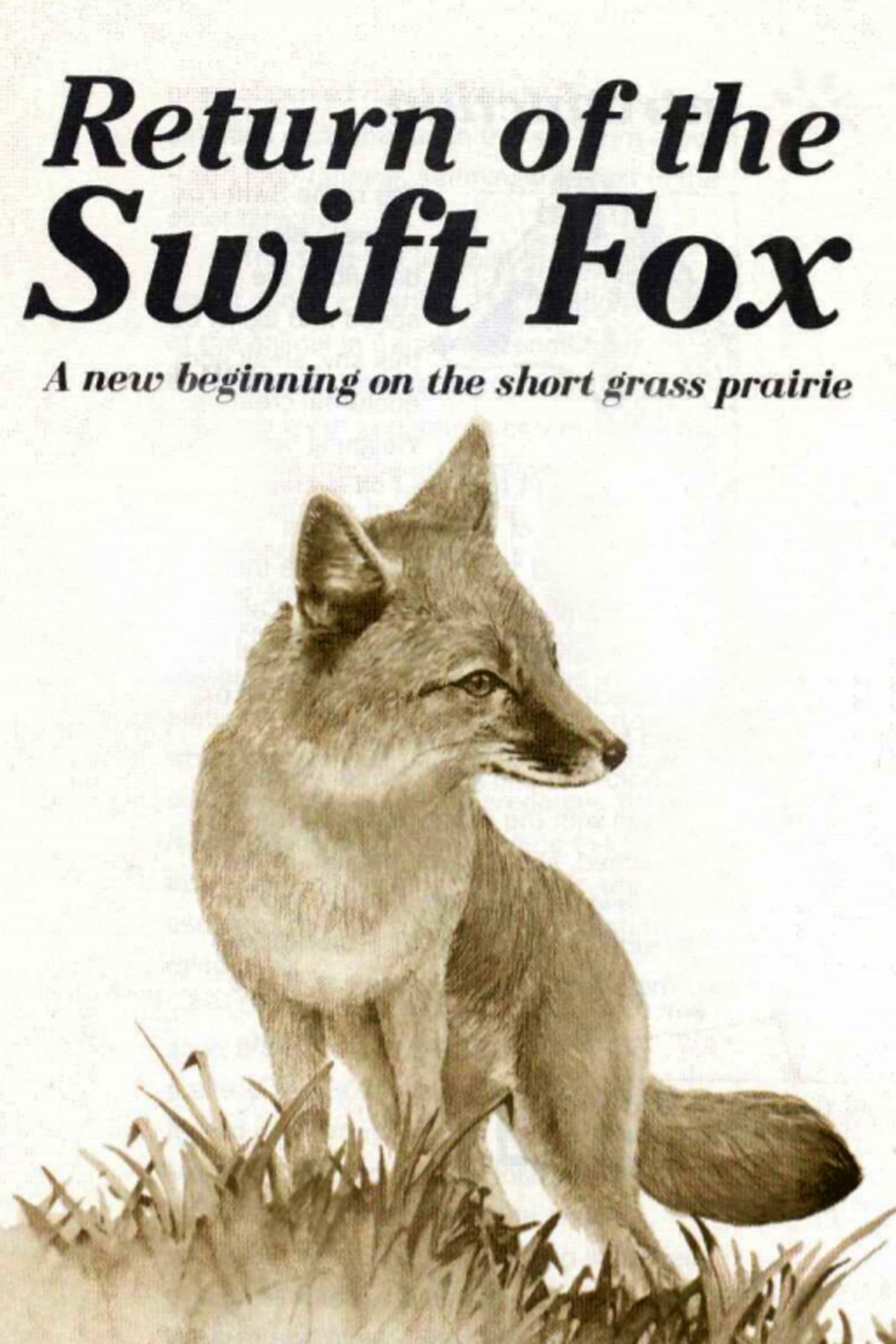 Poster backdrop for Return of the Swift Fox