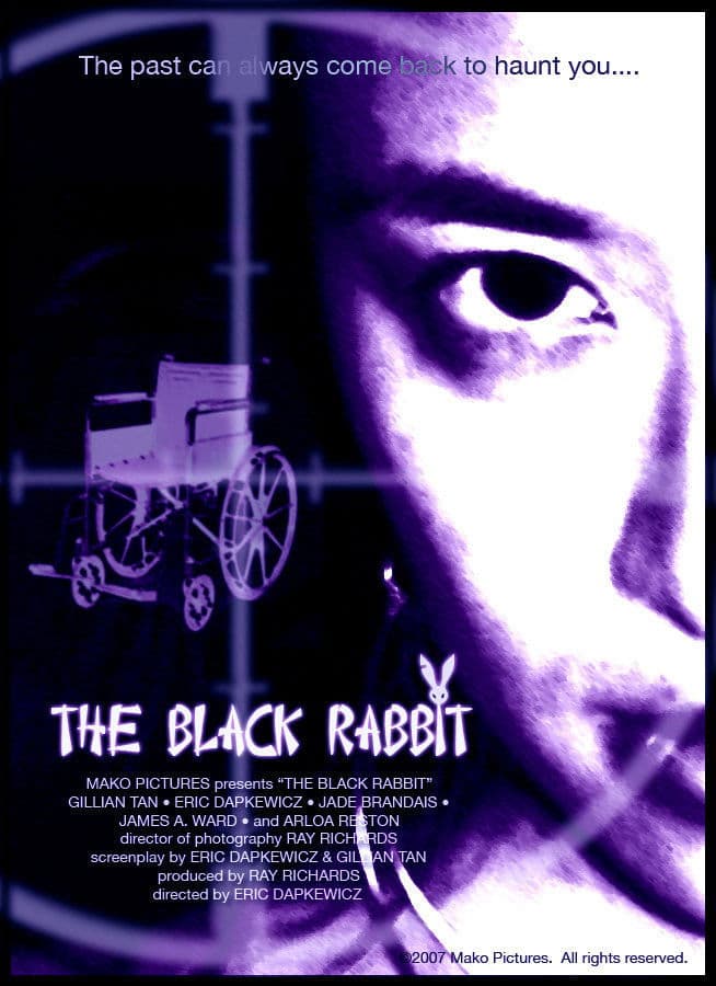 Poster backdrop for The Black Rabbit