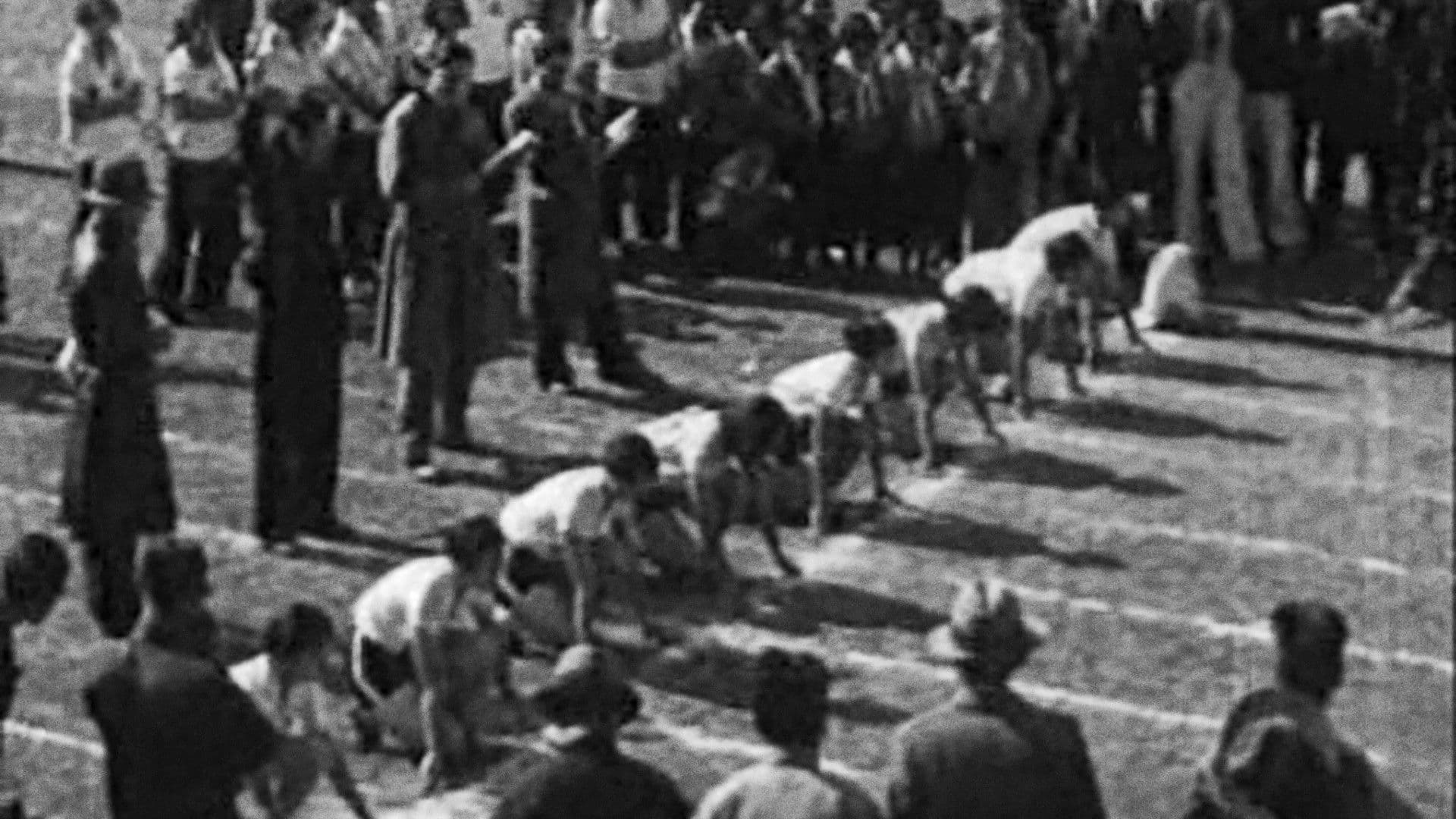 Poster backdrop for Queen of Sports