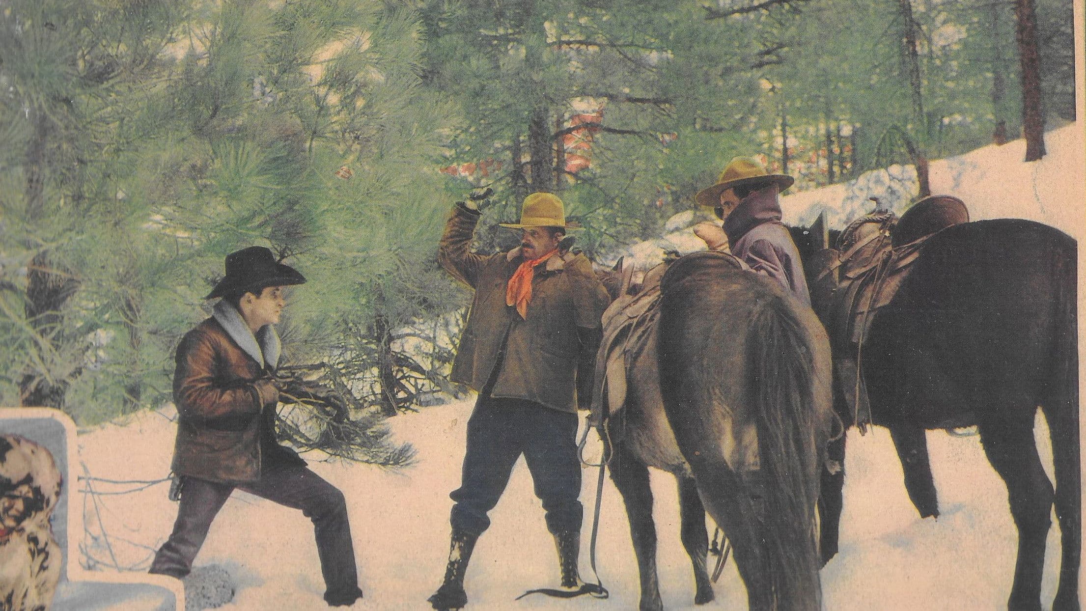 Poster backdrop for Trailing North